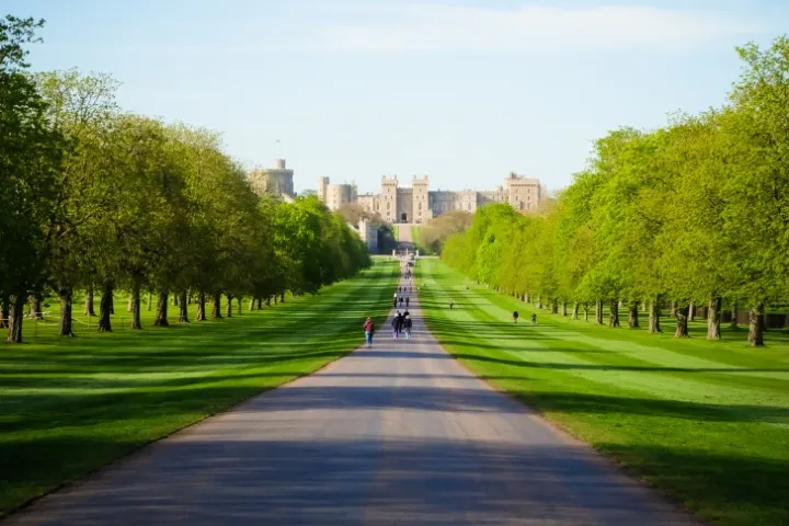 Long avenue lined with trees leads to large castle in the distance on a clear, sunny day.