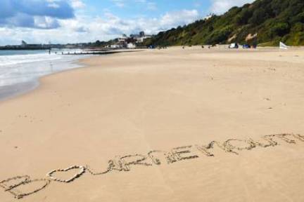 a close up of a beach