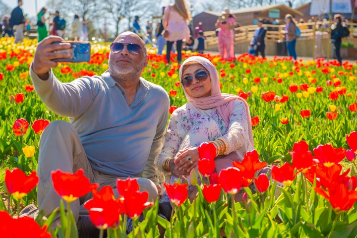 Couple taking a selfie while sitting in a field of red tulips.