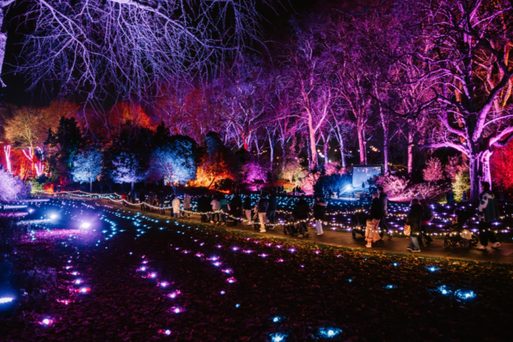 Garden path illuminated with colorful lights and glowing trees at night.