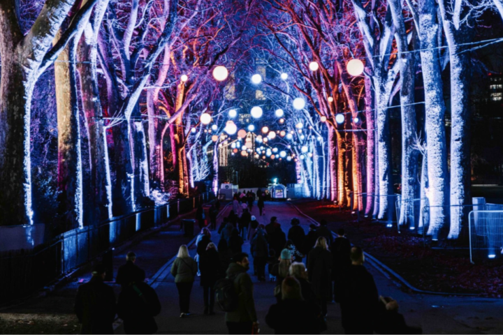 People walking under colorful, illuminated trees at night with hanging lights above.
