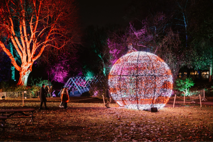 Illuminated spherical sculpture and trees in a vibrant nighttime garden scene.