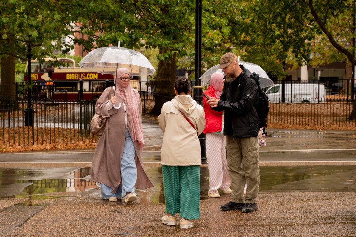 People with umbrellas in a park on a rainy day.