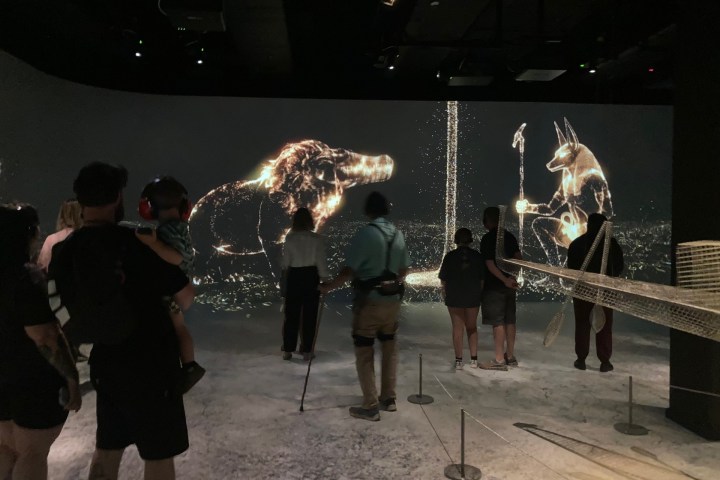 People viewing illuminated animal figures in a dark room exhibition.
