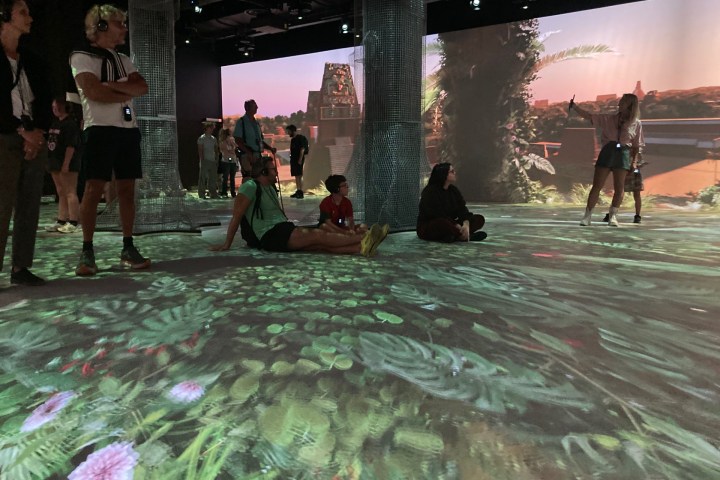 People in an immersive art exhibit with tropical plants projection on walls and floor.
