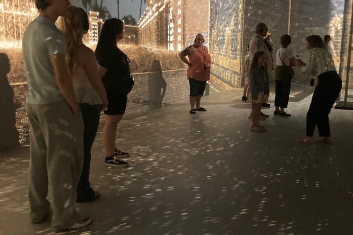Room with people observing a tropical-themed digital art display.