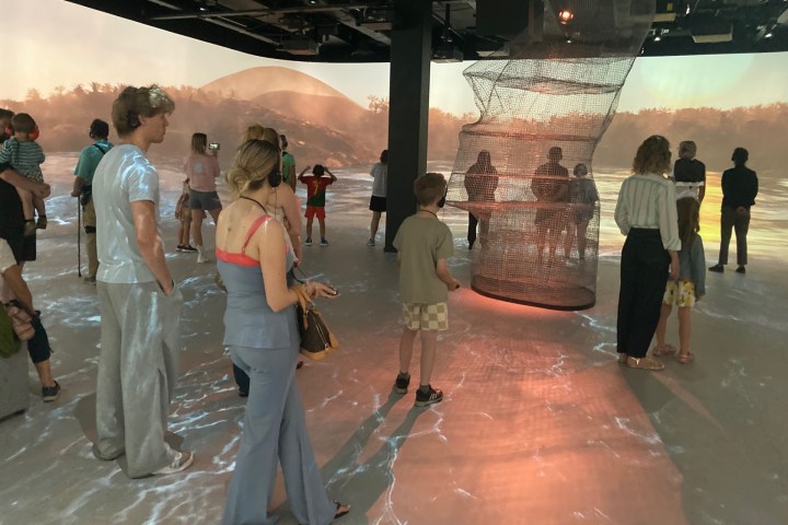 People viewing an art installation with projected nature imagery and a wire sculpture.