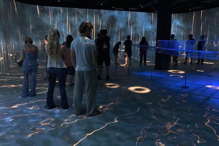 People stand in a digital art exhibit with immersive light projections on walls and floor.