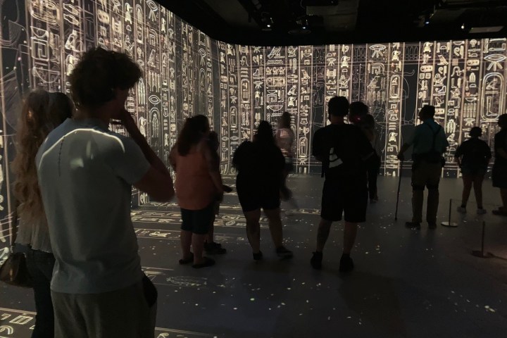 People viewing illuminated hieroglyphics on walls in a dark exhibit.